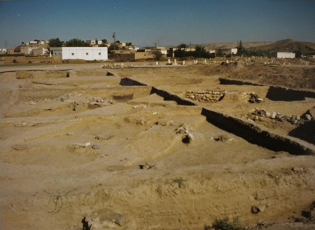Excavation www.victoriaclaytonwriter.com https://www.victoriaclaytonwriter.com/wp-content/uploads/2020/12/Excavation-www.victoriaclaytonwriter.com_.jpg